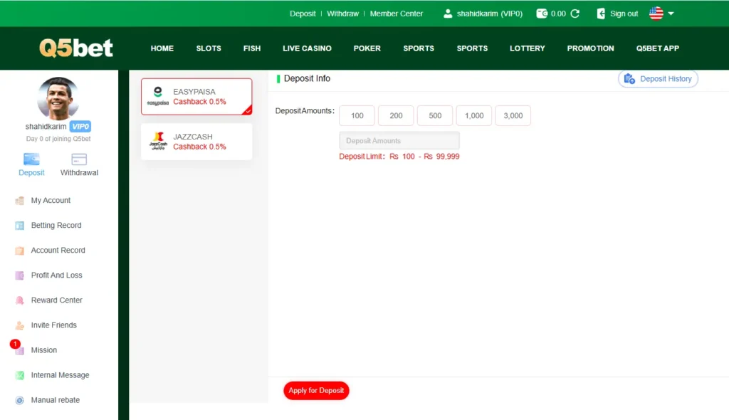 Transaction page of Q5bet Game APK